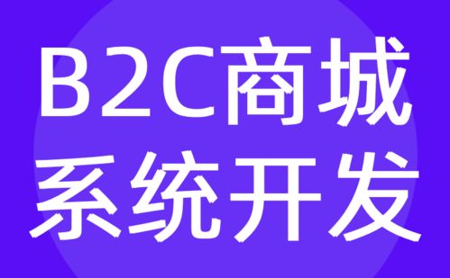 b2c商城系统开发 微信电商定制开发公司 红匣子科技